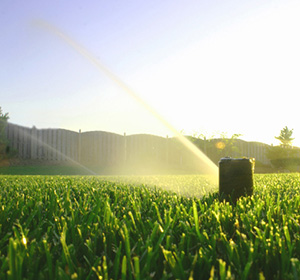 a well maintained lawn with the help of a automated sprinkler system