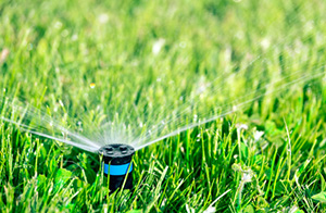 Head replaced by our Guelph sprinkler repair team